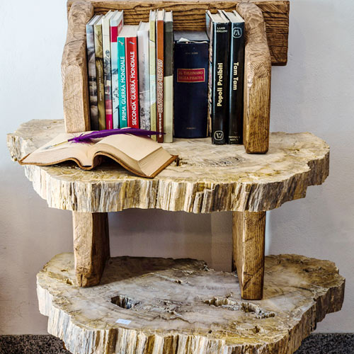 Libreria in legno fossile